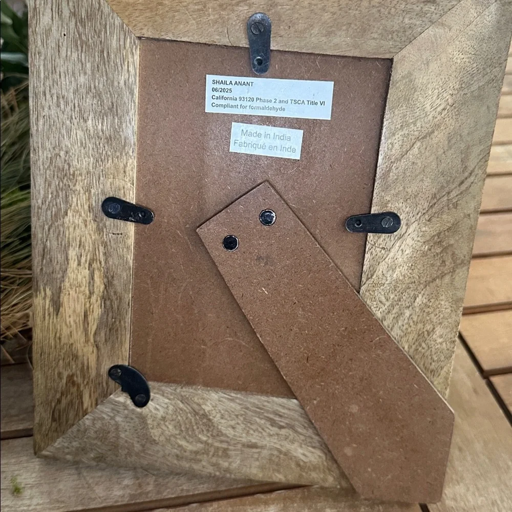 Made in India wooden velvet beaded bow 4” x 6” picture frame